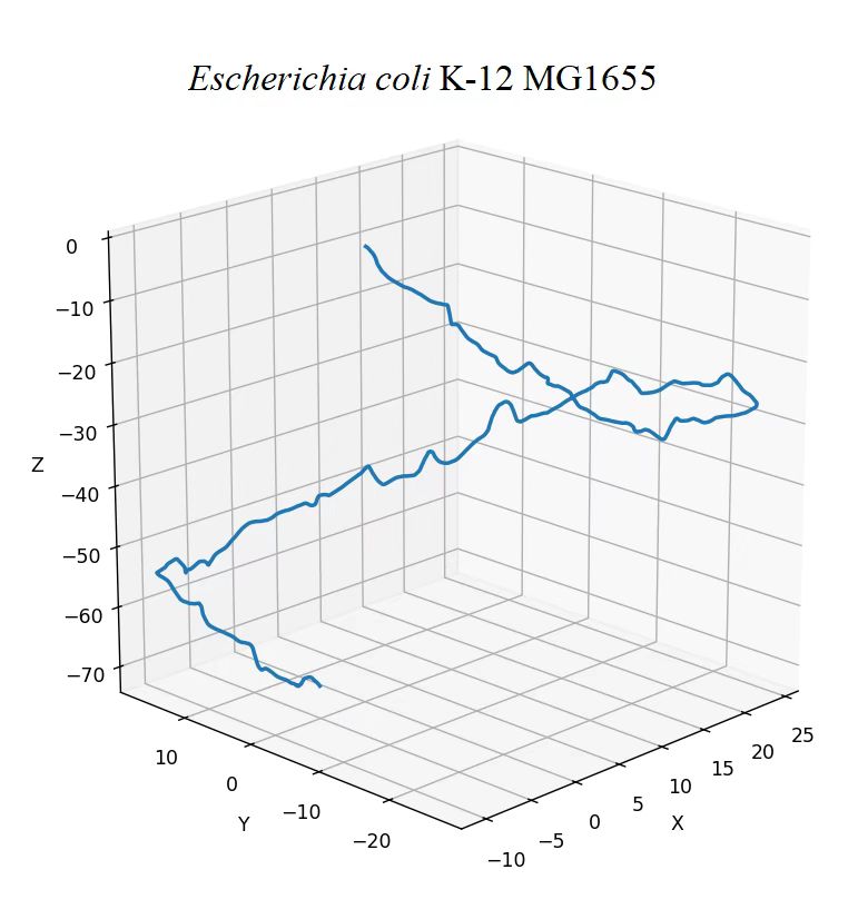 Z-curve of Escherichia coli